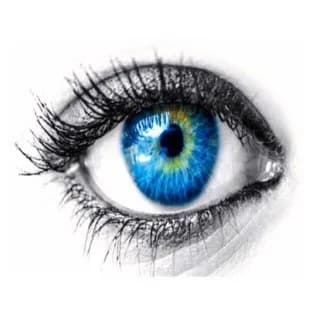 👁‍🗨ویوگیرکچ ویو👁‍🗨