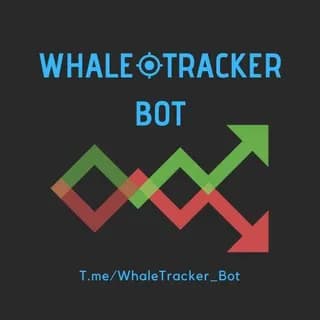 🐳Whale Tracker👀Bot
