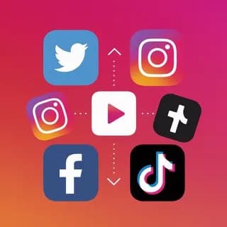 Twitter,X,Instagram,Facebook,TikTok Video Downloader