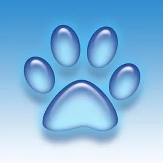 🐾PatiPatim🐾 🤖