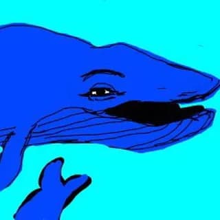 Profile image of Dizzy Whale Calls on Telegram