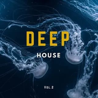 Profile image of Deep Music on Telegram