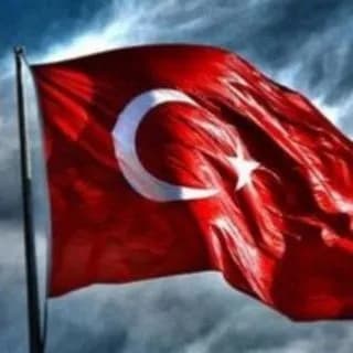 Profile image of HİLELİ KANALI KRAL on Telegram