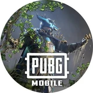 Profile image of Pubg mobile hile on Telegram