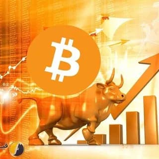 Profile image of Señal crypto bitcoin on Telegram
