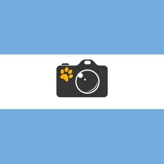 Imagen de perfil de Fotos Furmeets Argentinas en Telegram
