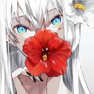 Profile image of Anime/Fan Arts Group on Telegram