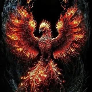 Profilbild von Aus Asche Auferstanden auf Telegram