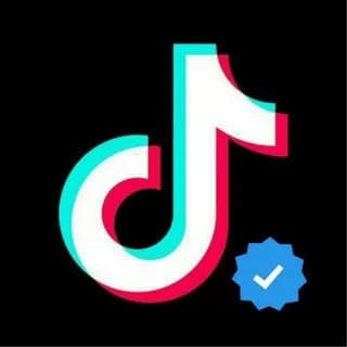 Profilbild von TIK TOK VIDEOLAR KULGI auf Telegram