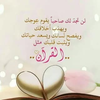 Profile image of 💟🌱 صاحب القرآن🌱💟 on Telegram