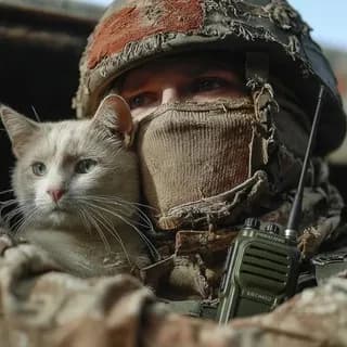 Imagen de perfil de Рядовой на проводе en Telegram