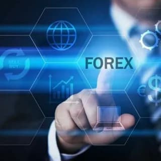 Profile image of Focal Community Group (FXSignals) on Telegram