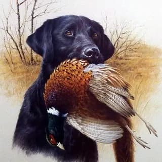 Profilbild von Ножи | Рыбалка | Охота auf Telegram