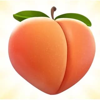 Profile image of 👙Bikini😳Minikini🔥Monokini🩱Swimsuits😉 on Telegram