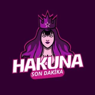Profile image of HAKUNA HABER - GÜNDEM: SURİYE on Telegram