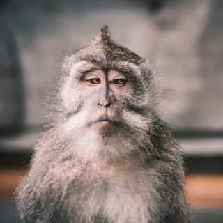 Immagine del profilo di C'E' DI PEGGIO 🌵 su Telegram