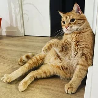 Profile image of Product Manager’s Diary on Telegram