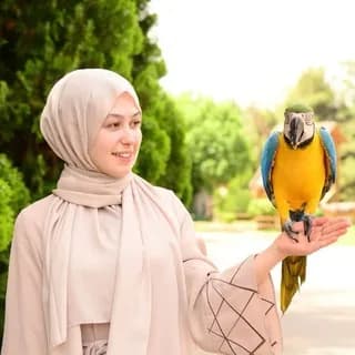 Profile image of 🇹🇷 تعلم اللغة التركية مع لينا on Telegram
