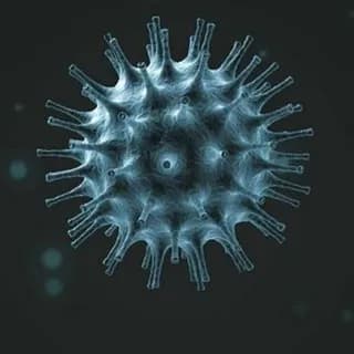 Profile image of CoronaVirusNewsLive.com on Telegram