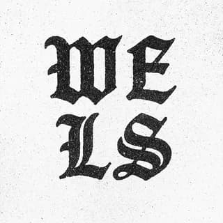 Imagen de perfil de WE.LS en Telegram