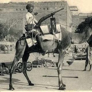 Profile image of Jaitrasimha on Telegram