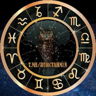 Profile image of 13. Burç Tahmin 🦉 on Telegram