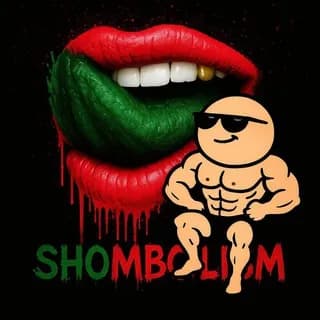 Imagen de perfil de شومبولیسم...! en Telegram