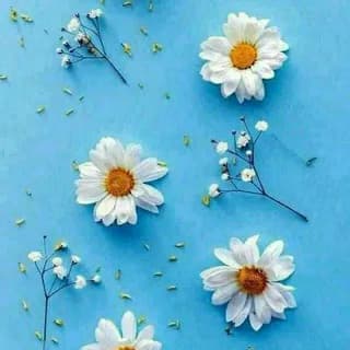 Profile image of قُطُـوف - انشُـروا الْخَيْـر 🌦 on Telegram