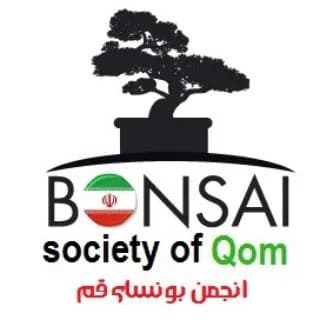 Profile image of کانال انجمن بونسای قم on Telegram