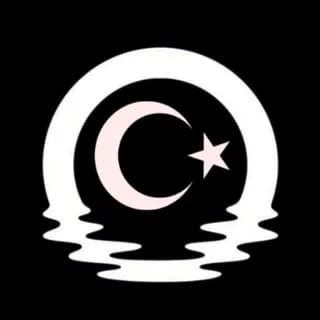 Profile image of Moonbeam & Moonriver Türkçe on Telegram