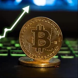 Profilbild von bitcoin binance crypto english auf Telegram