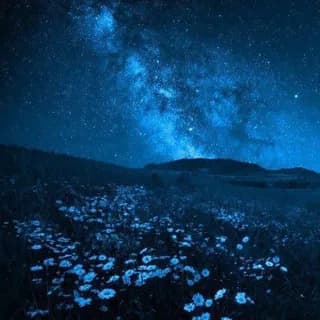 Profilbild von Чатик общения и знакомства auf Telegram