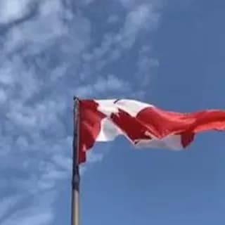 Profilbild von DriveCanada auf Telegram