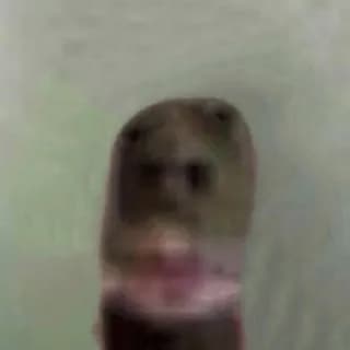 Profile image of ачё) on Telegram