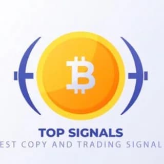 Profile image of Top Signals®️ on Telegram