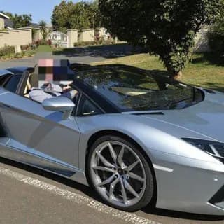 Profile image of Steves - Bitmex legendary trader on Telegram