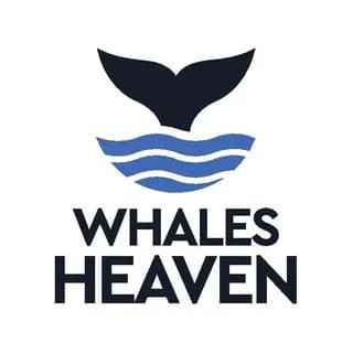 Profile image of WhalesHeaven.com - Peer to peer custody-free marketplace on Telegram