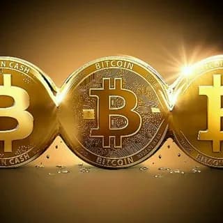 Profile image of Thegoldminetrades on Telegram