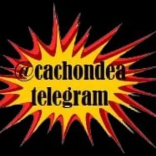Imagen de perfil de CANAL CACHONDEO VIDEOS DIARIOS DE HUMOR MEMES, MUCHA GUASA Y DIVERSIÓN. RISAS GARANTIZADAS 🤣🤣🤣 en Telegram