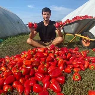 Profilbild von Яков Огородник auf Telegram