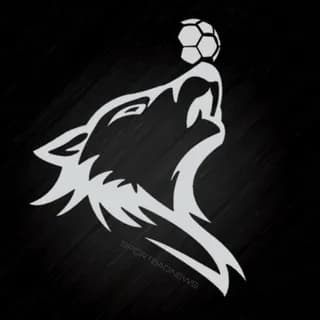 Profile image of ⚫⚽ Sport Bad News on Telegram