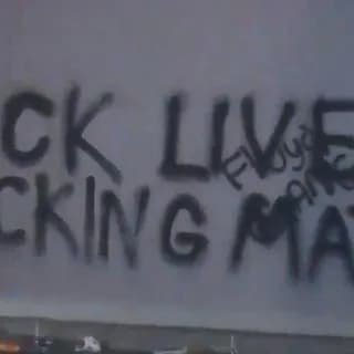 Profile image of The Black Lives Revolution (BLM) on Telegram