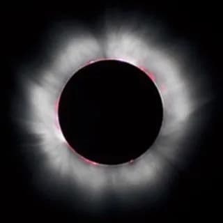 Profile image of Mr Pool on Telegram