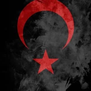 Profile image of 🇹🇷 ASKERİ OPERASYON 🇹🇷 on Telegram