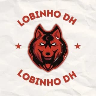 Profile image of 🐺 Lobinho DH 🧩 on Telegram