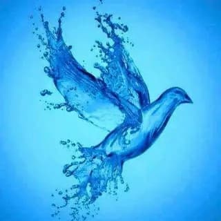 Image de profil de Résistance. L'essentiel de l'information. sur Telegram