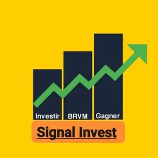 Image de profil de SIGNAL INVEST 💬 sur Telegram