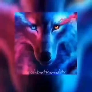 Profile image of 🇹🇷 SOHBET KANALI 🇹🇷 on Telegram