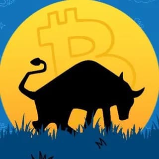 Profile image of Bulls Unleashed on Telegram