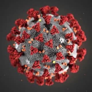 Profile image of Covid-19 Rehberi on Telegram